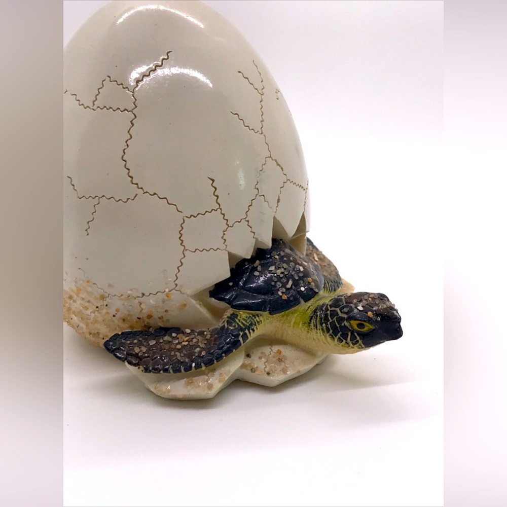 Sea Turtle Bank Hatching Egg Beach Sand Coins 5x4”